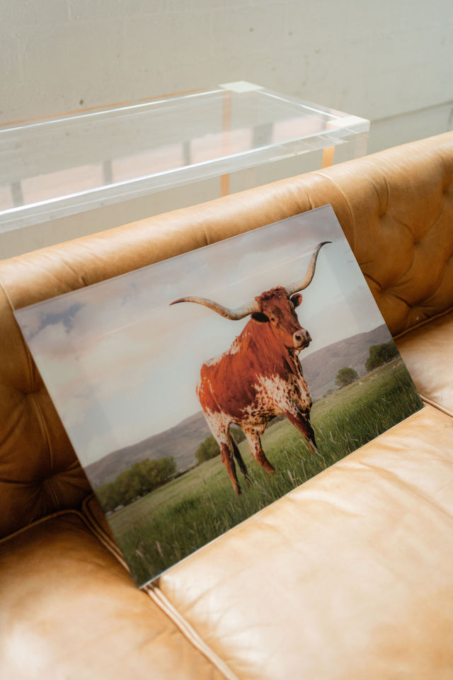 Longhorn Acrylic Floating Frame